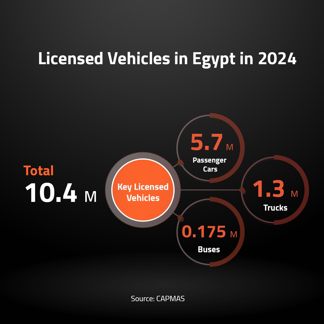 Licensed Vehicles in Egypt in 2024 